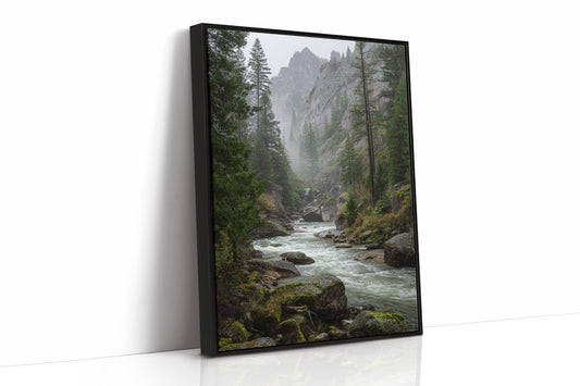 AL1808 - Premium Art Print - Black Framed Canvas image 1