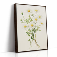 AL0084 - Premium Art Print - Brown Framed Canvas image 1