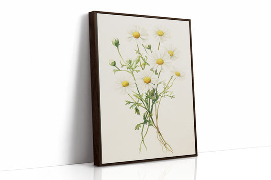 AL0084 - Premium Art Print - Brown Framed Canvas image 1