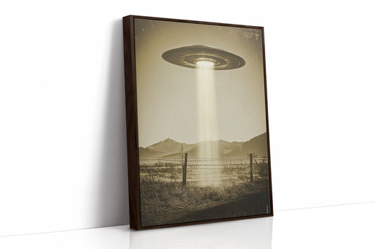 AL0775 - Premium Art Print - Brown Framed Canvas image 1
