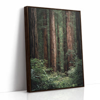 AL1864 - Premium Art Print - Brown Framed Canvas image 1