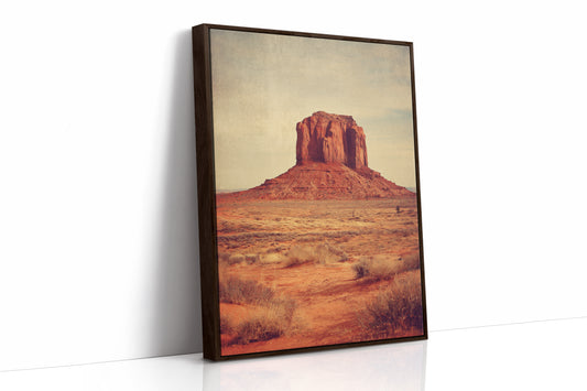 AL1849 - Premium Art Print - Brown Framed Canvas image 1