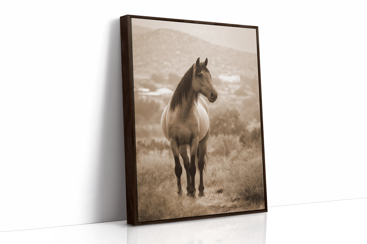 AL1833 - Premium Art Print - Brown Framed Canvas image 1