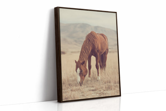 AL1820 - Premium Art Print - Brown Framed Canvas image 1