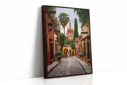 AL1814 - Premium Art Print - Brown Framed Canvas image 1