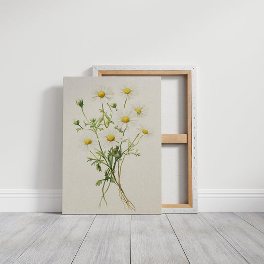AL0084 - Premium Art Print - Gallery Canvas image 1