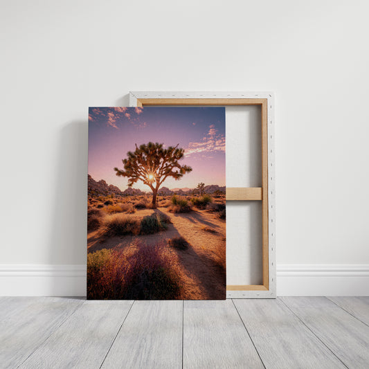 AL1887 - Premium Art Print - Gallery Canvas image 1