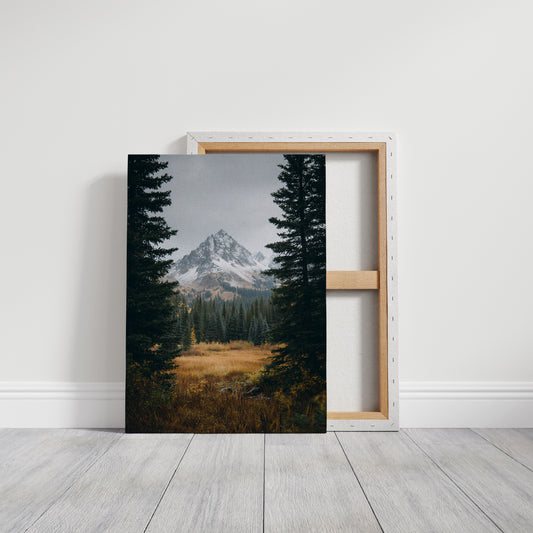 AL1865 - Premium Art Print - Gallery Canvas image 1