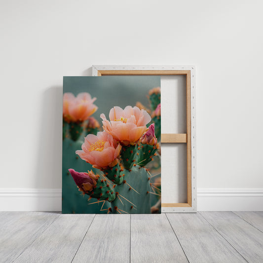 AL1846 - Premium Art Print - Gallery Canvas image 1