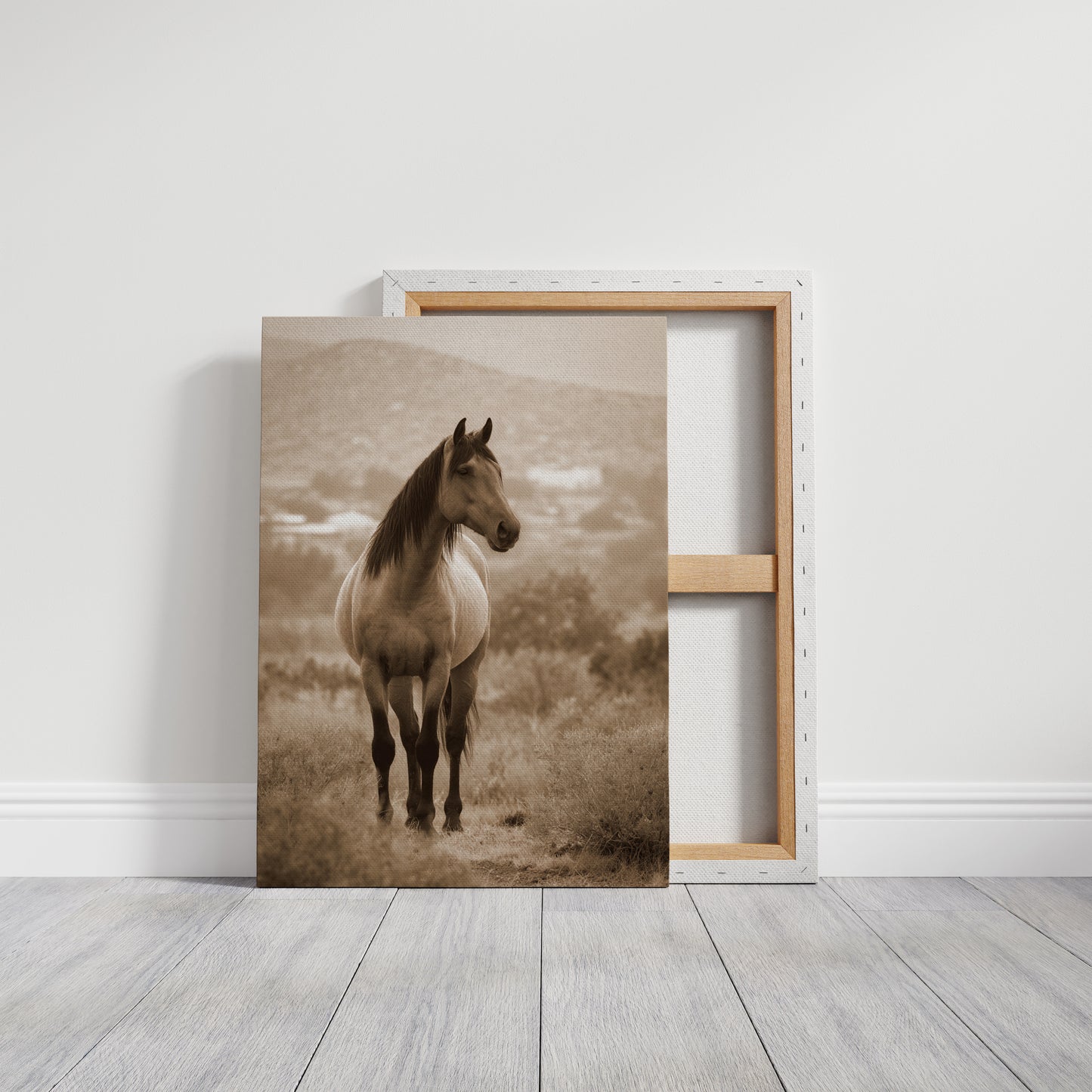 AL1833 - Premium Art Print - Gallery Canvas image 1