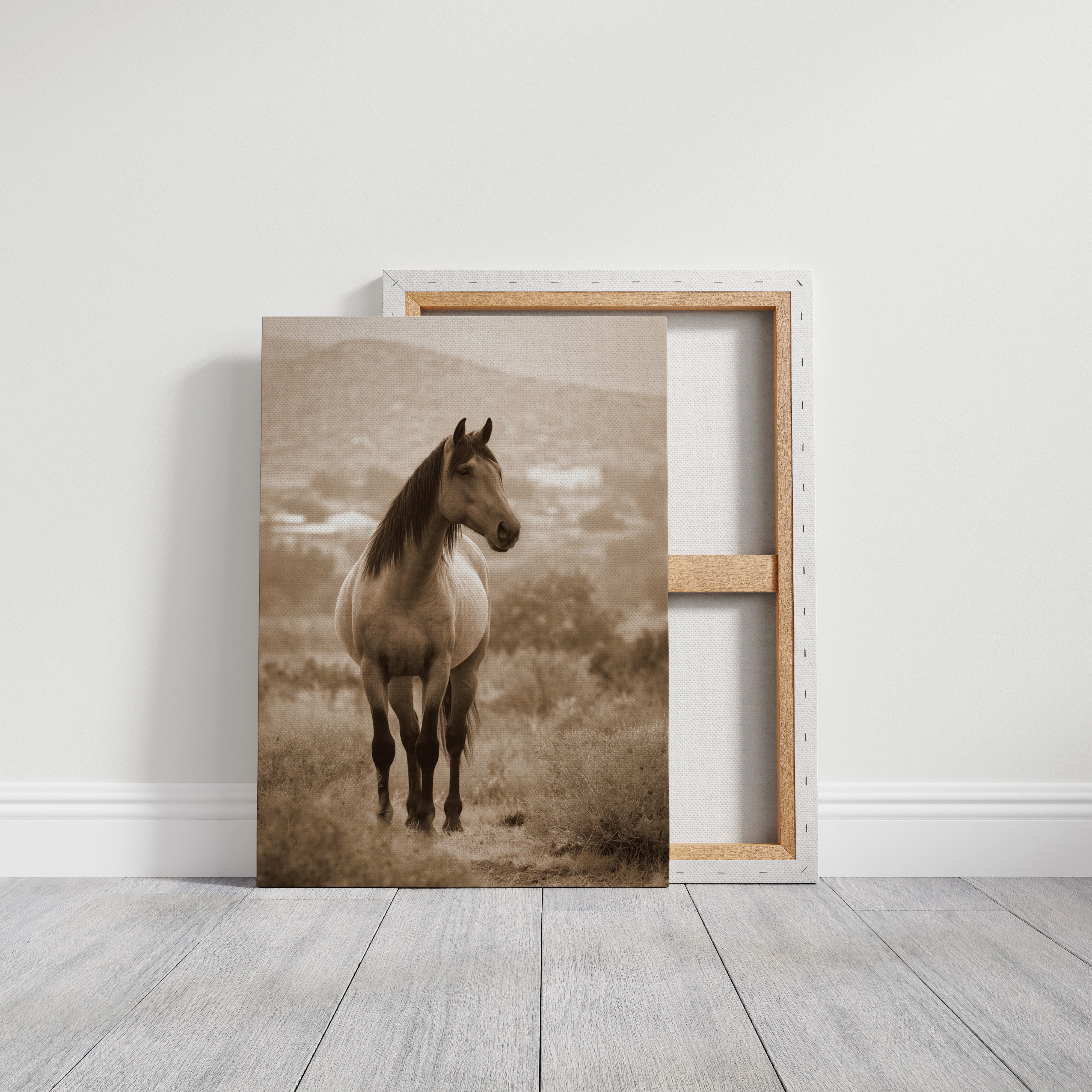 AL1833 - Premium Art Print - Gallery Canvas image 1