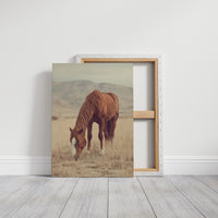 AL1820 - Premium Art Print - Gallery Canvas image 1