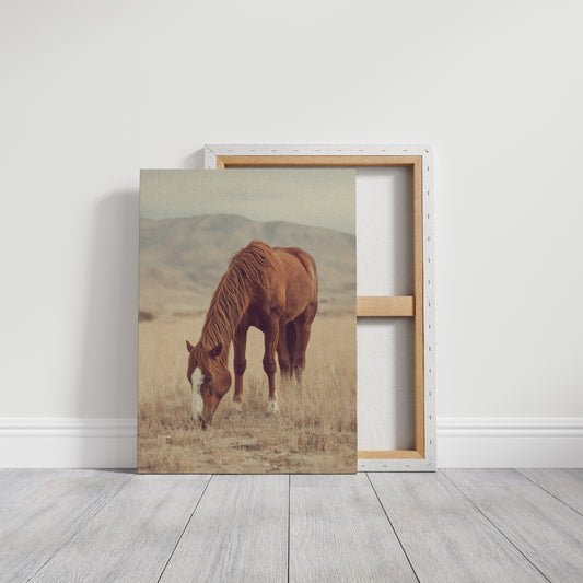 AL1820 - Premium Art Print - Gallery Canvas image 1