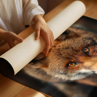 AL1885 - Premium Art Print - Matte Poster image 1