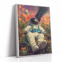 AL0009 - White Framed Canvas image 1