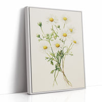 AL0084 - Premium Art Print - White Framed Canvas image 1