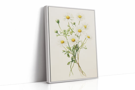 AL0084 - Premium Art Print - White Framed Canvas image 1