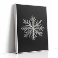 AL0268 - Premium Art Print - White Framed Canvas image 1