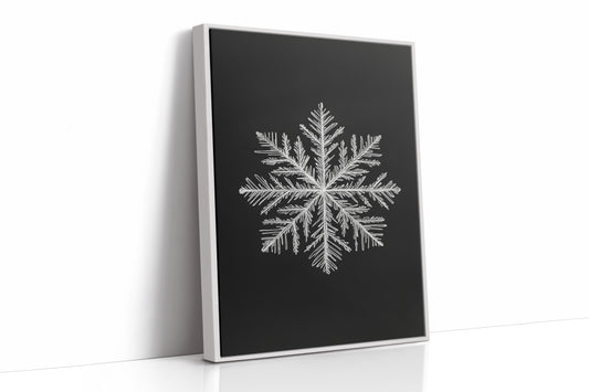 AL0268 - Premium Art Print - White Framed Canvas image 1