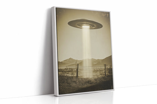 AL0775 - Premium Art Print - White Framed Canvas image 1