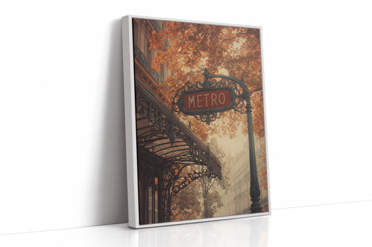 AL1891 - Premium Art Print - White Framed Canvas image 1