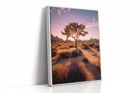 AL1887 - Premium Art Print - White Framed Canvas image 1