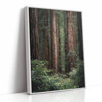 AL1864 - Premium Art Print - White Framed Canvas image 1