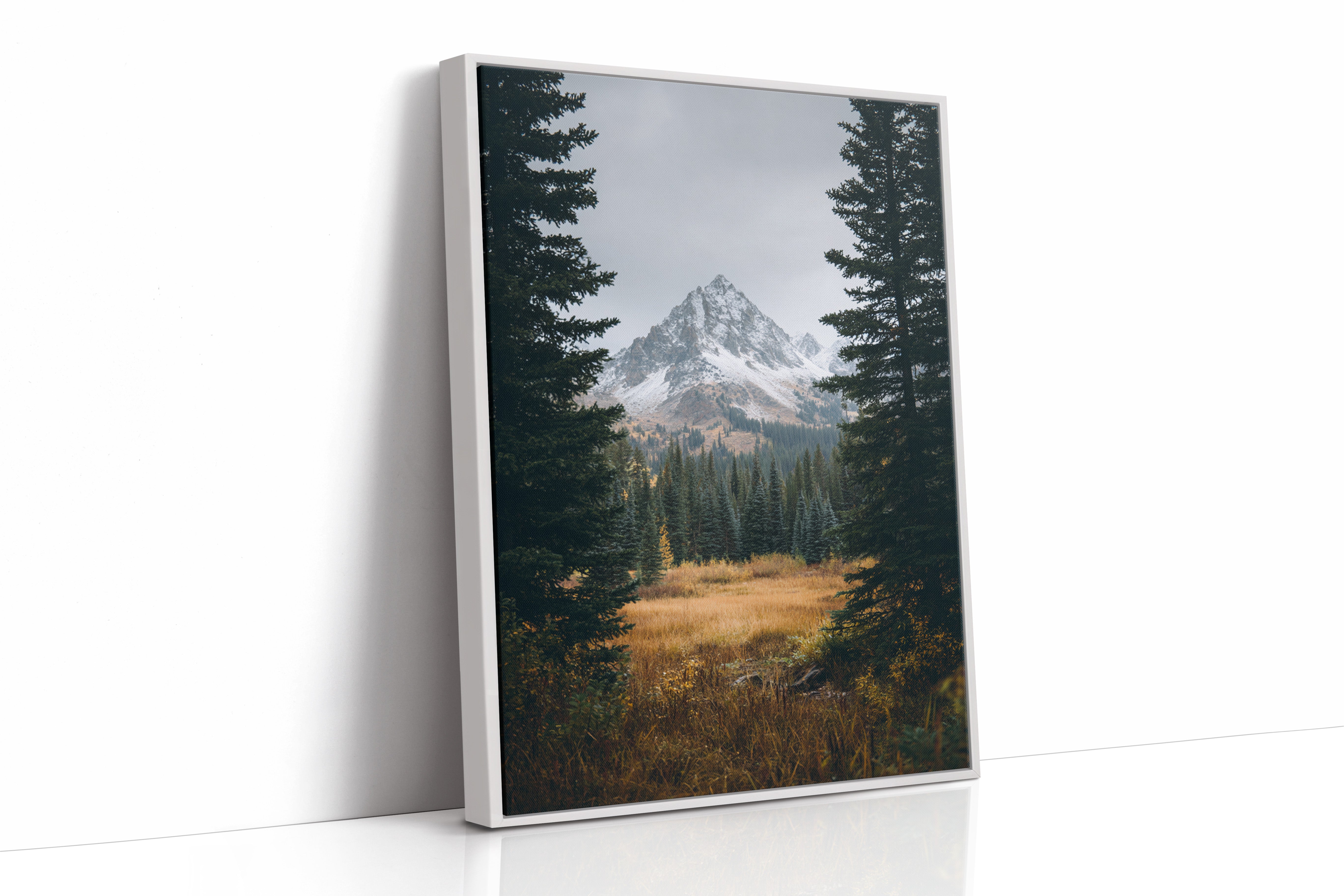 AL1865 - Premium Art Print - White Framed Canvas image 1