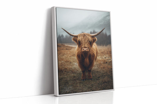 AL1848 - Premium Art Print - White Framed Canvas image 1