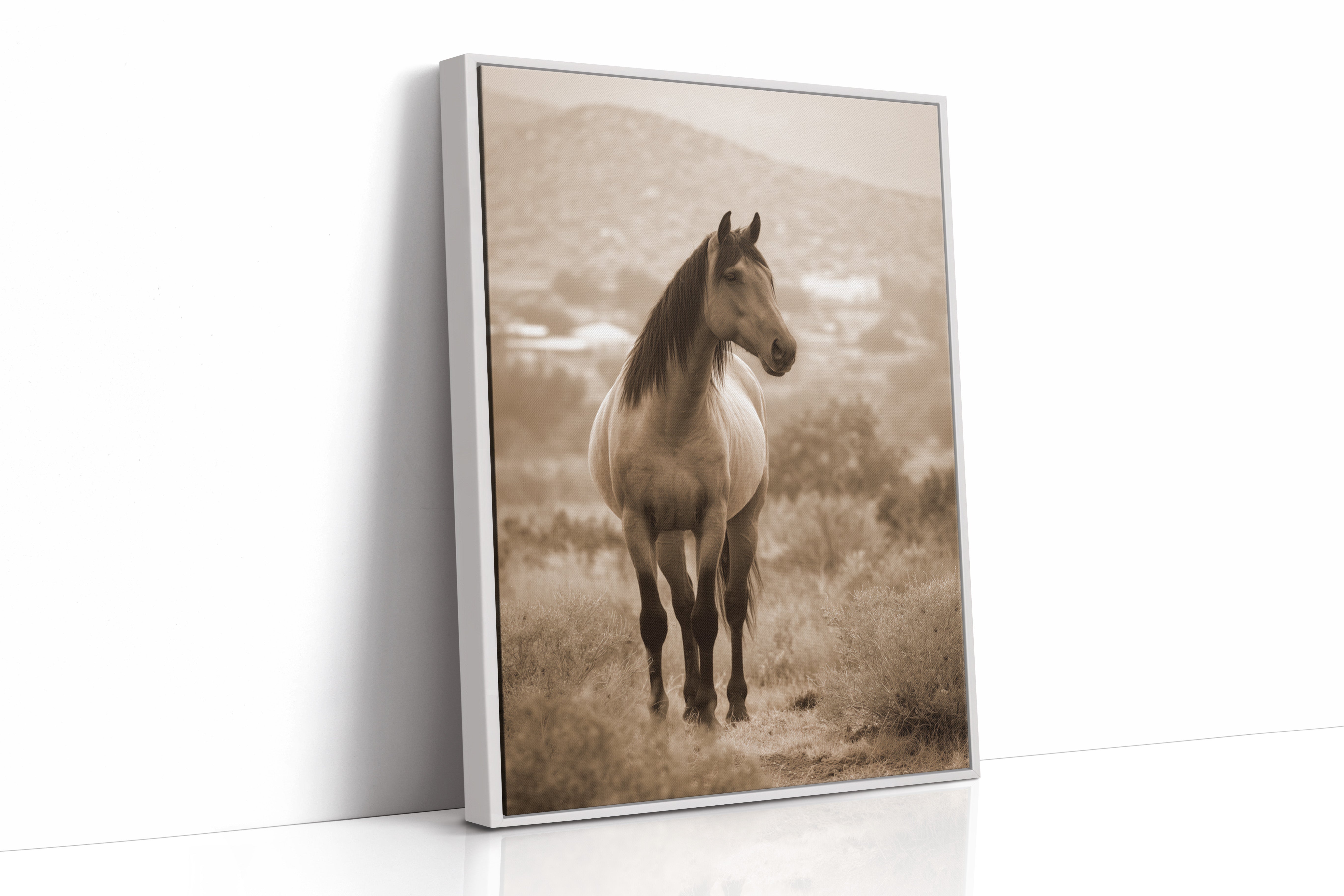 AL1833 - Premium Art Print - White Framed Canvas image 1