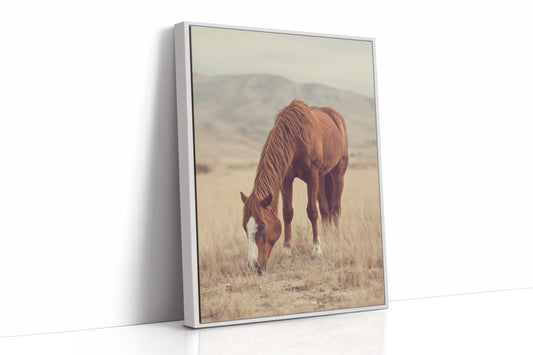 AL1820 - Premium Art Print - White Framed Canvas image 1