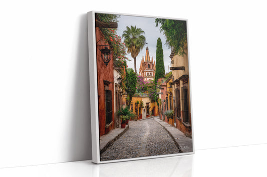 AL1814 - Premium Art Print - White Framed Canvas image 1